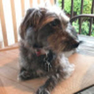 Meet your Posher, Valerie